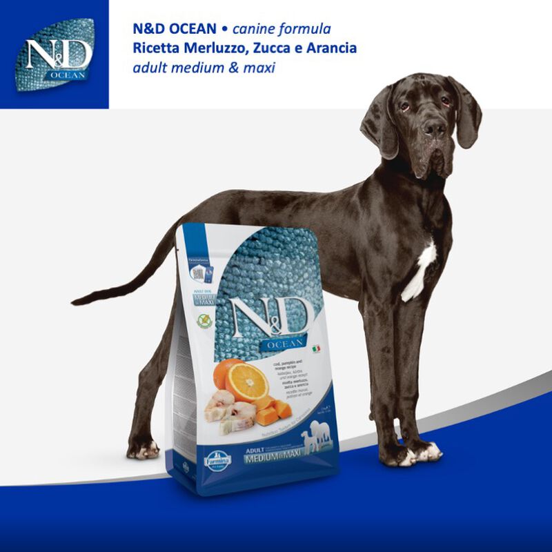 Farmina N&D Ocean Dog Adult Medium & Maxi Merluzzo, Zucca e Arancia 12 kg
