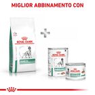 Royal Canin Veterinary Diet Dog Diabetic 1,5 kg
