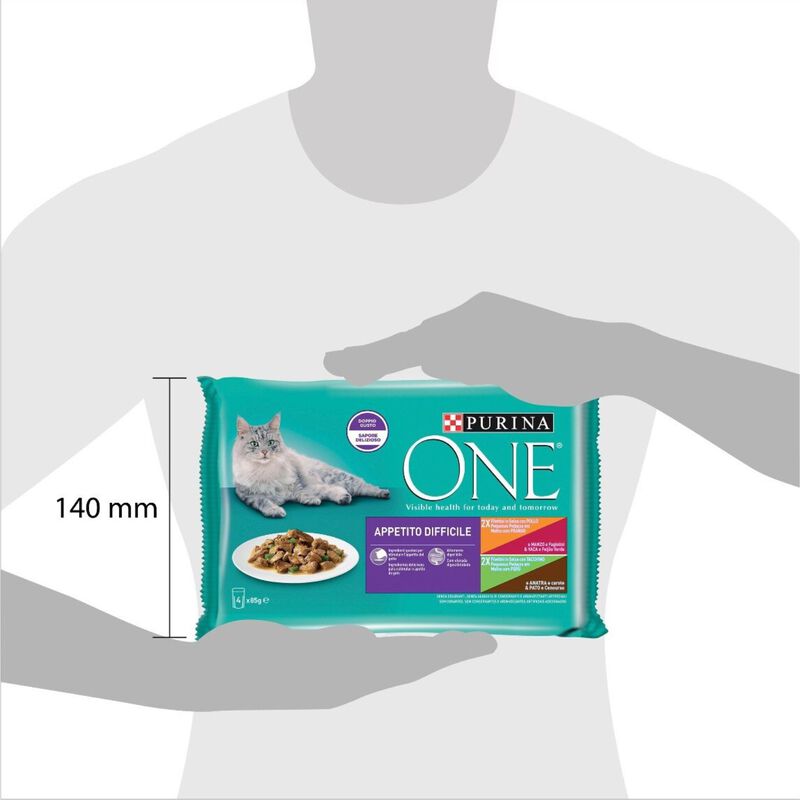 Purina One Cat Appetito Difficile Filettini in Salsa 4 pz x 85 gr