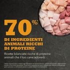 Acana Dog Adult Wild Prairie Recipe 11,4 kg