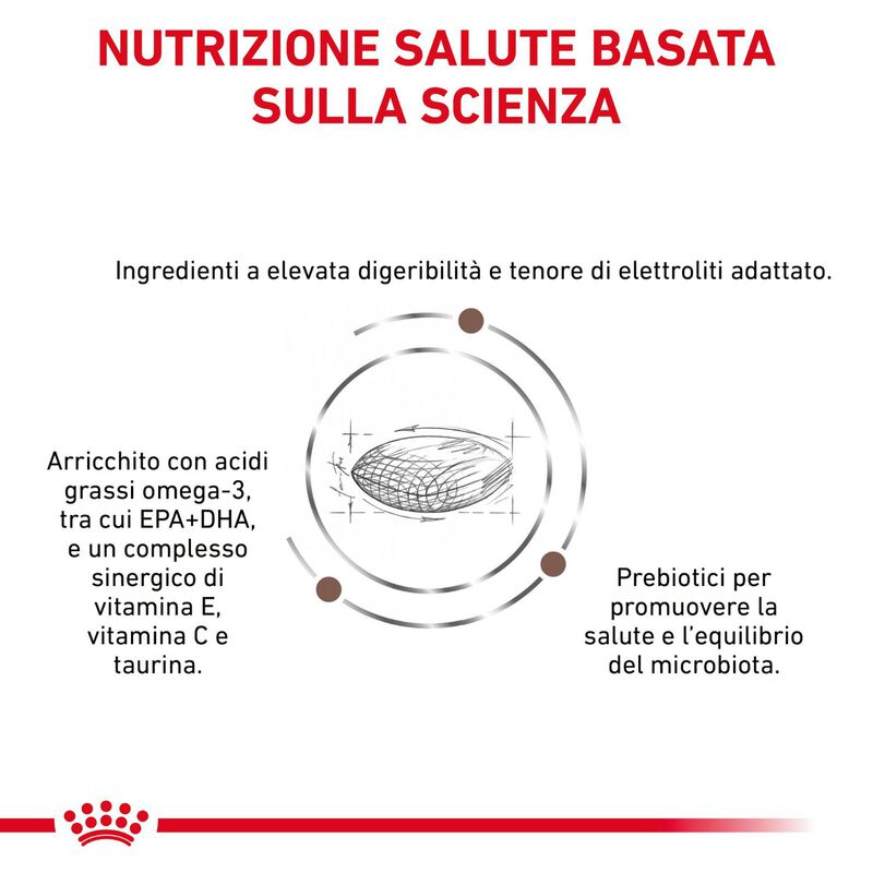 Royal Canin Veterinary Diet Cat Adult Gastrointestinal Hairball 400 gr