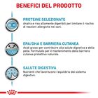 Royal Canin Veterinary Diet Dog Sensitivity Control Anatra e Riso 420 gr