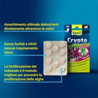 Tetra Crypto 10 Compresse