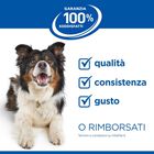 Hill's Science Plan Dog Senior Vitality Small & Mini Mature Adult 7+ al Pollo e Riso 1,5 kg