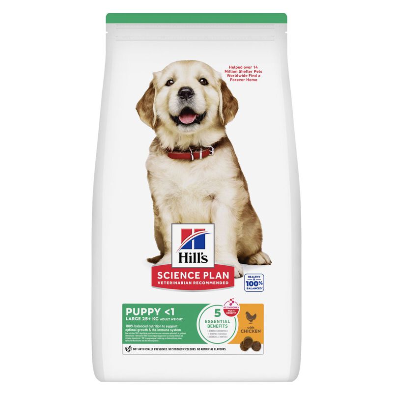 Hill's Science Plan Dog Puppy Large al Pollo 14,5 kg