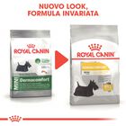 Royal Canin Dog Adult e Senior Mini Dermacomfort 3 kg