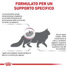Royal Canin Veterinary Diet Cat Renal 400 gr