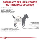 Royal Canin Veterinary Diet Dog Adult Small Gastrointestinal Low Fat 3,5 kg