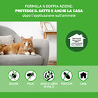 Frontline Combo Spot-On gatti 1 pipetta - Scad Dicembre 2025