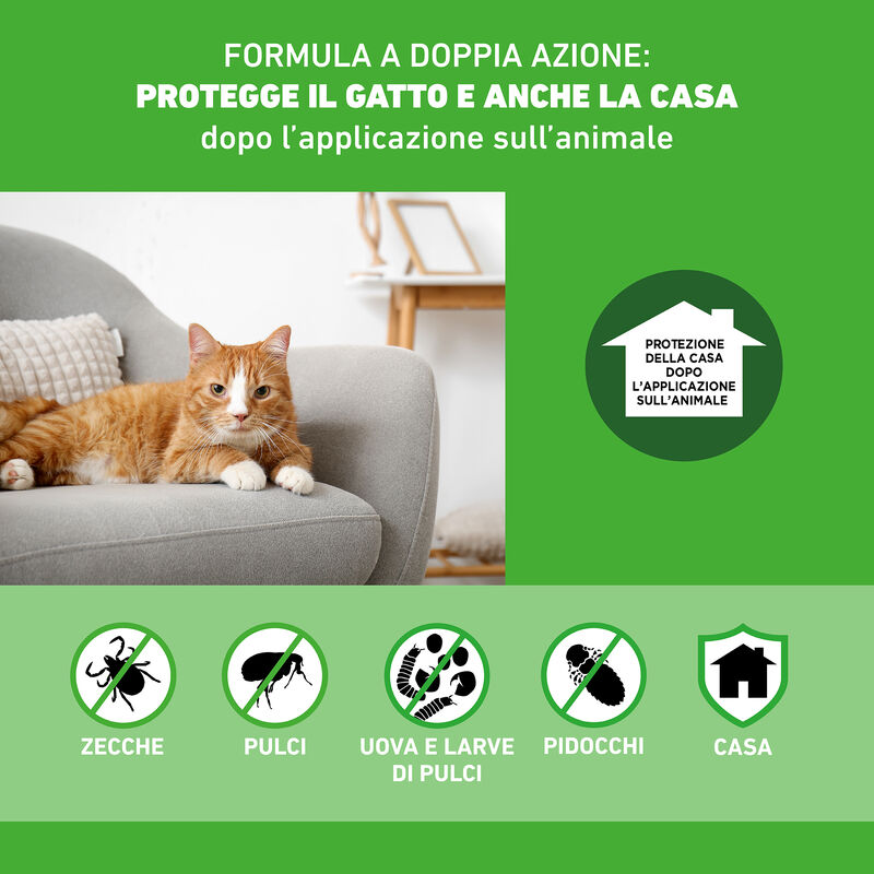 Frontline Combo Spot-On gatti 1 pipetta - Scad Dicembre 2025