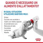 Royal Canin Babydog Milk 400 gr