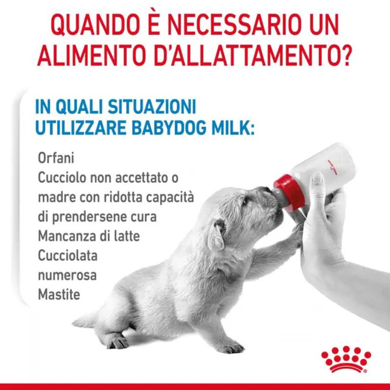 Royal Canin Babydog Milk 400 gr