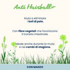 Almo Nature Anti Hairball Cat Adult con Manzo 70 gr
