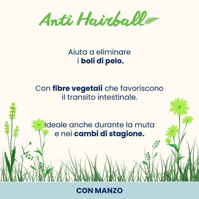 Almo Nature Anti Hairball Cat Adult con Manzo 70 gr