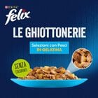Felix Le Ghiottonerie Cat Selezioni con pesci Salmone con Tonno 72 pz x 85 gr