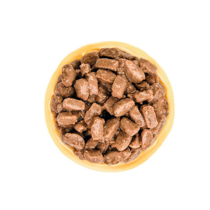 Royal Canin Health Nutrition Dog Senior Mini Ageing 85 gr
