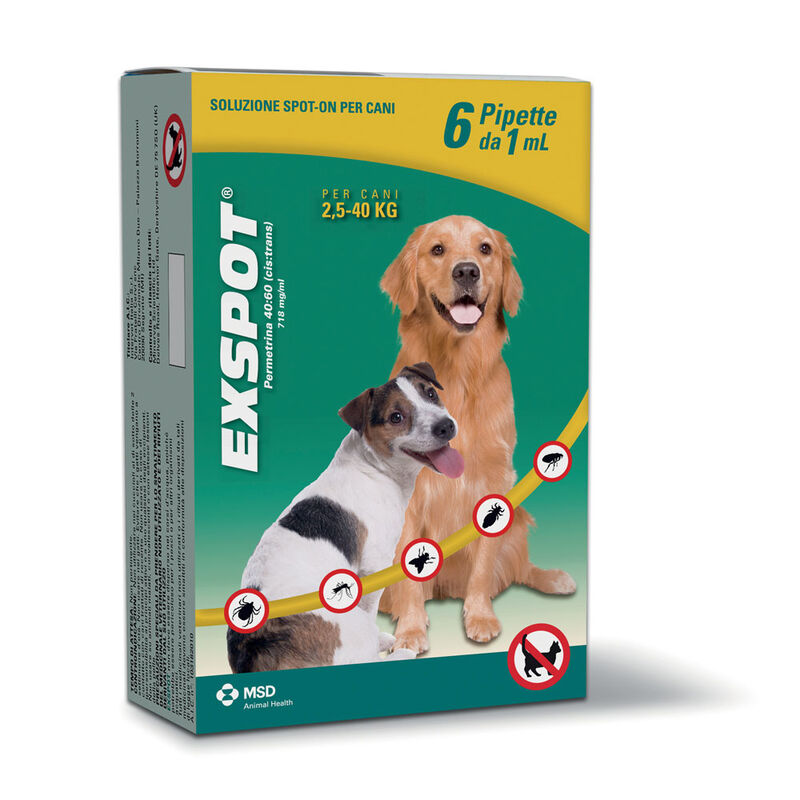 Exspot Spot-On cane 6 pipette