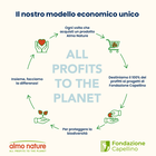 Almo Nature HFC Cat Adult Urinary Help Salmone 70gr