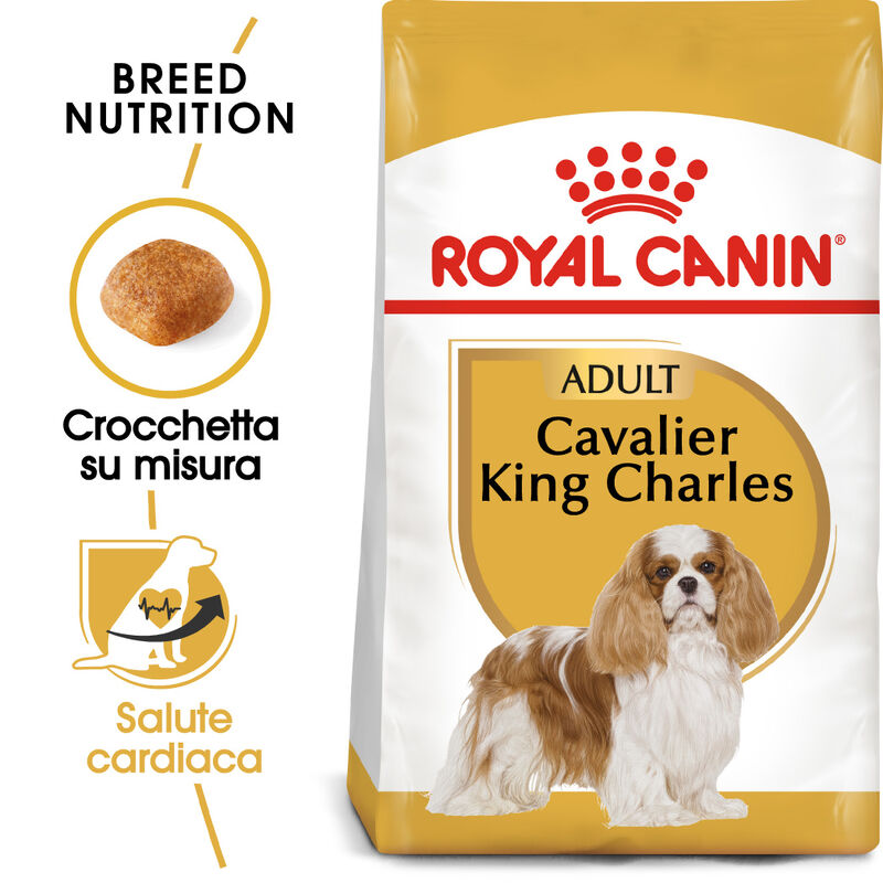 Royal Canin Dog Adult e Senior Cavalier King Charles Spaniel 1,5 kg
