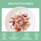 Schesir Cat Filetti di Tonnetto in Gelatina 70g