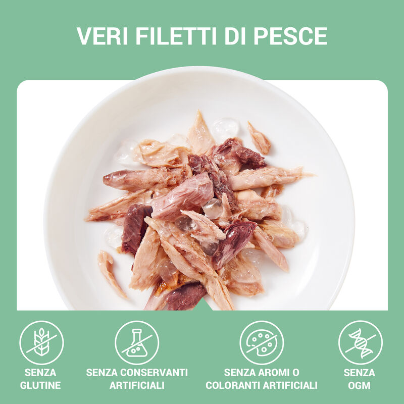 Schesir Cat Filetti di Tonnetto in Gelatina 70g