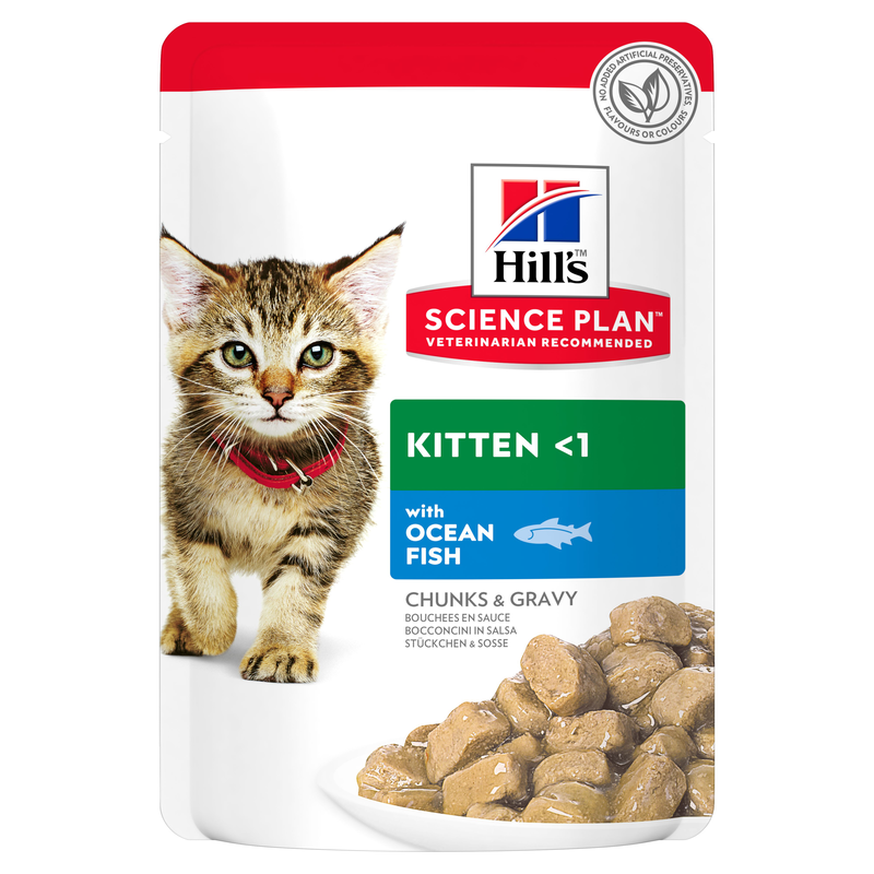 Hill's Science Plan Cat Kitten con Pesce Oceanico Bustina 85 gr