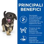 Hill's Science Plan Perfect Digestion Dog Medium Puppy Pollo e Riso integrale 2,5 kg