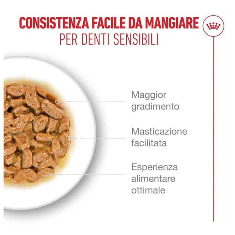 Royal Canin Cat Ageing 11+ in gravy 85gr