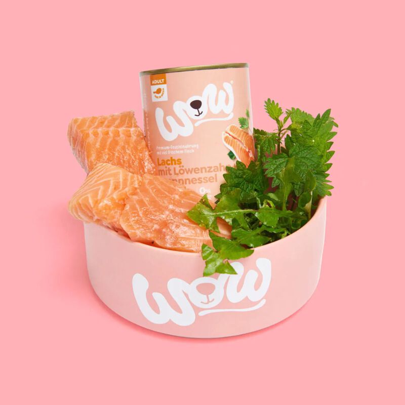Wow Dog Adult Salmone con Dente di Leone e Ortica 400 gr