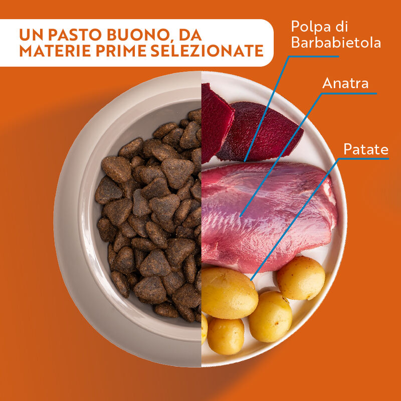 Monopro Dog Adult Medium&Large Grain Free Anatra 12 kg
