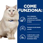 Hill's Prescription Diet Cat c/d Multicare Stress Urinary Care con pollo 1,5 kg