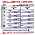 Royal Canin Expert Neutered Adult Small 1,5 kg - Scad. Dicembre 25