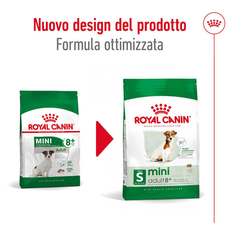 Royal Canin Dog Mini Adult 8+ e Senior 800 gr