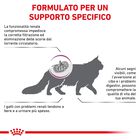 Royal Canin Veterinary Diet Cat Renal Special 400 gr