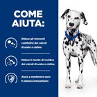 Hill's Prescription Diet Dog u/d 10 kg