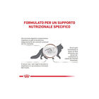 Royal Canin Veterinary Diet Cat Adult Gastrointestinal Hairball 2 kg