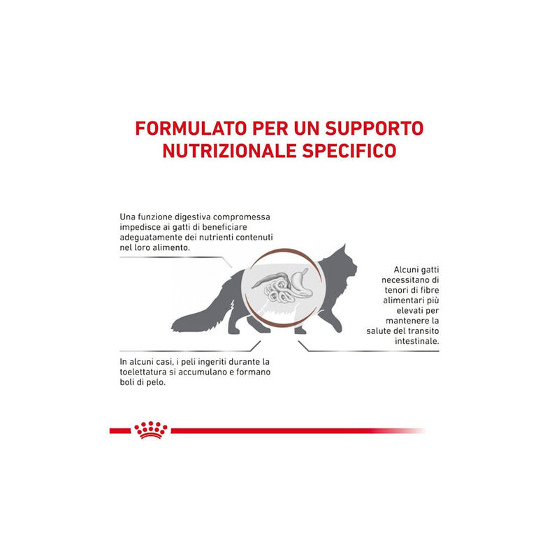 Royal Canin Veterinary Diet Cat Adult Gastrointestinal Hairball 2 kg