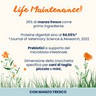 Almo Nature Life Maintenance Crocchette per cani adulti tg S con Manzo 2 kg