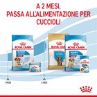 Royal Canin Dog Medium Starter Mother & Babydog 4 kg