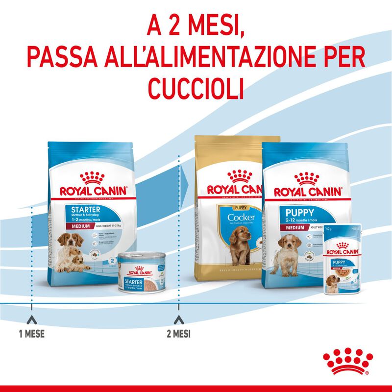 Royal Canin Dog Medium Starter Mother & Babydog 4 kg