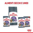 Royal Canin Cat Adult Appetite Control Care 2 kg