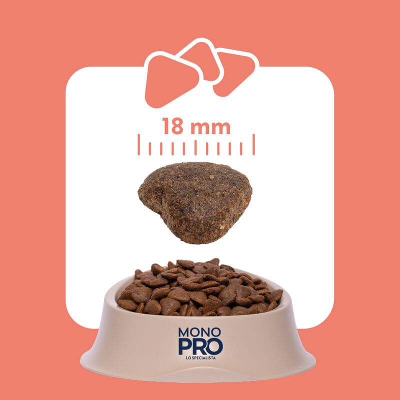 Monopro Dog Adult Medium&Large Grain Free Salmone 12 Kg
