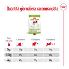 Royal Canin Dog Adult 8+ X-Small 500 gr