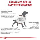 Royal Canin Veterinary Diet Dog Gastrointestinal High Fiber 14 kg