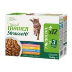 Natural Trainer Cat Adult Straccetti Salmone, Pollo, Tonno e Tacchino 12x85 gr
