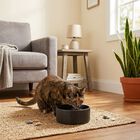 Trixie Ciotola in ceramica colore nero 16 cm 0,9 l