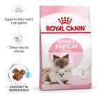 Royal Canin Cat Adult e Kitten Mother and Babycat 2 kg