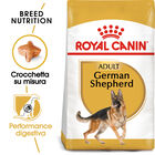 Royal Canin Dog Adult e Senior German Shepherd 11 kg
