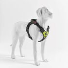 Tre Ponti Pettorina Harmonia per cani tg XXL col. Lime