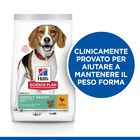 Hill's Science Plan Dog Perfect Weight Medium con Pollo 12 kg